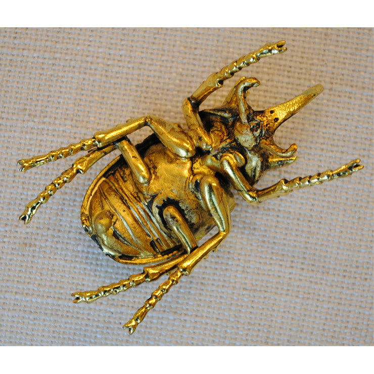 北欧雑貨 インテリア おしゃれ 真鍮 昆虫 メタル カブトムシ Beetle ビートル ブラス ブロストコペンハーゲン METAL Broste Copenhagen 02BS2