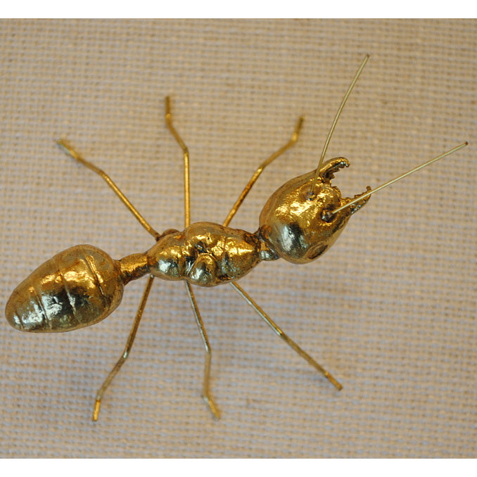 北欧雑貨 インテリア おしゃれ 真鍮 昆虫 メタル アリ 蟻 ANT アント ブラス ブロストコペンハーゲン METAL Broste Copenhagen 04BS1