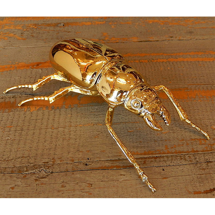 北欧雑貨 インテリア おしゃれ 真鍮 昆虫 メタル オオクワガタ メス Stag beetle worm スタッグビートル ブラス ブロストコペンハーゲン METAL Broste Copenhagen 06BS1