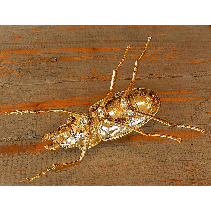 北欧雑貨 インテリア おしゃれ 真鍮 昆虫 メタル オオクワガタ メス Stag beetle worm スタッグビートル ブラス ブロストコペンハーゲン METAL Broste Copenhagen 06BS1