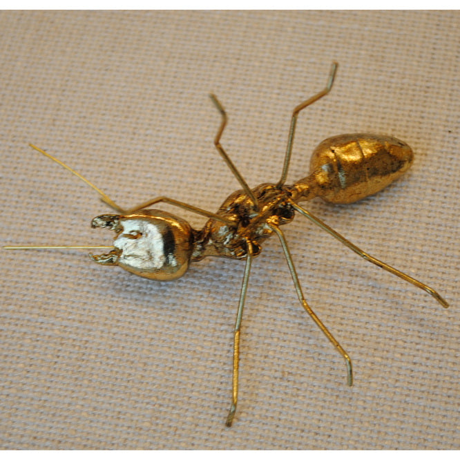 北欧雑貨 インテリア おしゃれ 真鍮 昆虫 メタル アリ 蟻 ANT アント ブラス ブロストコペンハーゲン METAL Broste Copenhagen 04BS1