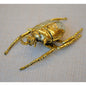 北欧雑貨 インテリア おしゃれ 真鍮 昆虫 エレファスゾウカブト ゾウカブト ビートル BEETLE アンティーク ブラス ブロストコペンハーゲン METAL Broste Copenhagen 06ABS1
