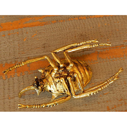 北欧雑貨 インテリア おしゃれ 真鍮 昆虫 エレファスゾウカブト ゾウカブト ビートル BEETLE アンティーク ブラス ブロストコペンハーゲン METAL Broste Copenhagen 06ABS1