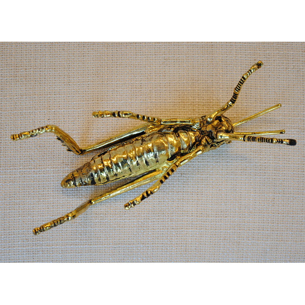 北欧雑貨 インテリア おしゃれ 真鍮 昆虫 殿様バッタ 金色 グラスホッパー ゴールドカラー ブラス ブロストコペンハーゲン Broste Copenhagen 06ABS3