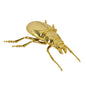 北欧雑貨 インテリア おしゃれ 真鍮 昆虫 メタル オオクワガタ メス Stag beetle worm スタッグビートル ブラス ブロストコペンハーゲン METAL Broste Copenhagen 06BS1