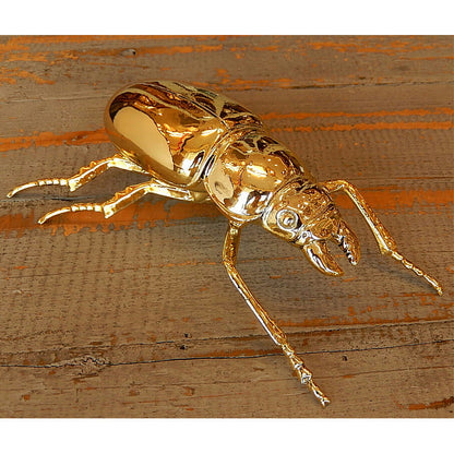 北欧雑貨 インテリア おしゃれ 真鍮 昆虫 メタル オオクワガタ メス Stag beetle worm スタッグビートル ブラス ブロストコペンハーゲン METAL Broste Copenhagen 06BS1